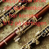 Klepp klarinettkor har konsert. 
Sted: Jærhagen Dato 3/12   KL. 1700