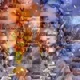 Klepp skulekorps har julekonsert på Jærhagen kl 1600