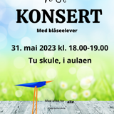 Vårkonsert Aulaen Tu Skule 